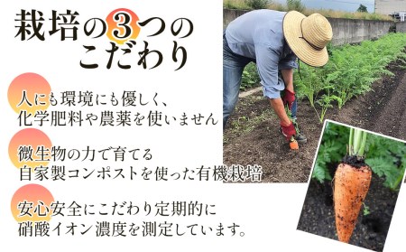 人参ジュース「ザ・人参」720g×2本｜ にんじんジュース 無農薬