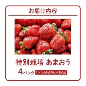 【2026年11月から順次発送】特別栽培あまおう 4パック ふくおかエコ農産物_いちご あまおう 果物 フルーツ〔Fi003〕