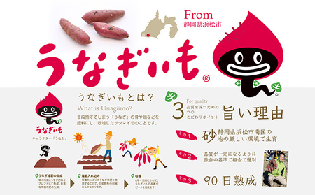 うなぎいもの大学いもセット（さつまいも 1kg  大学いものタレ 黒胡麻 クリアカップ シール）【配送不可：沖縄・離島】 スイーツ 和スイーツ おやつ 浜松ブランドいも しっとり 加熱済み 