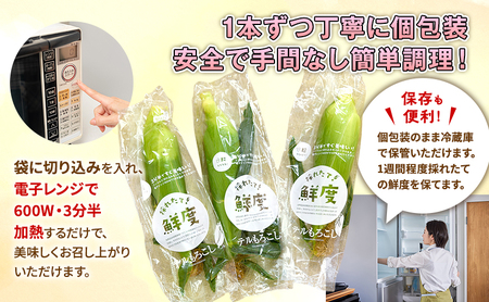 とうもろこし 先行予約 甘々娘 または 甘太郎 約4～6本 春のテルもろこし 個包装 レンジ調理 レンチン 野菜 夏 旬 冷蔵 冷蔵配送 静岡 静岡県 浜松市 6月下旬頃より順次発送 配送不可：離島
