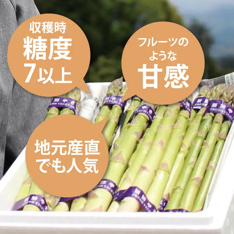【ふるなびWEEK対象】【先行予約 数量限定】フルーツ アスパラ 1.2kg CS002 アスパラガス
