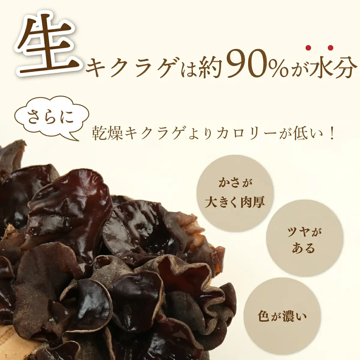 佐喜浜キクラゲ（生）　計８００ｇ（８０g×１０袋）