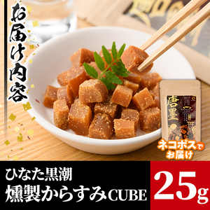 ”ひなた舎”燻製からすみCUBE(25g) カラスミ 魚卵 珍味 常温 保存 おつまみ ボラ【B-18】【SA・Te黒潮】
