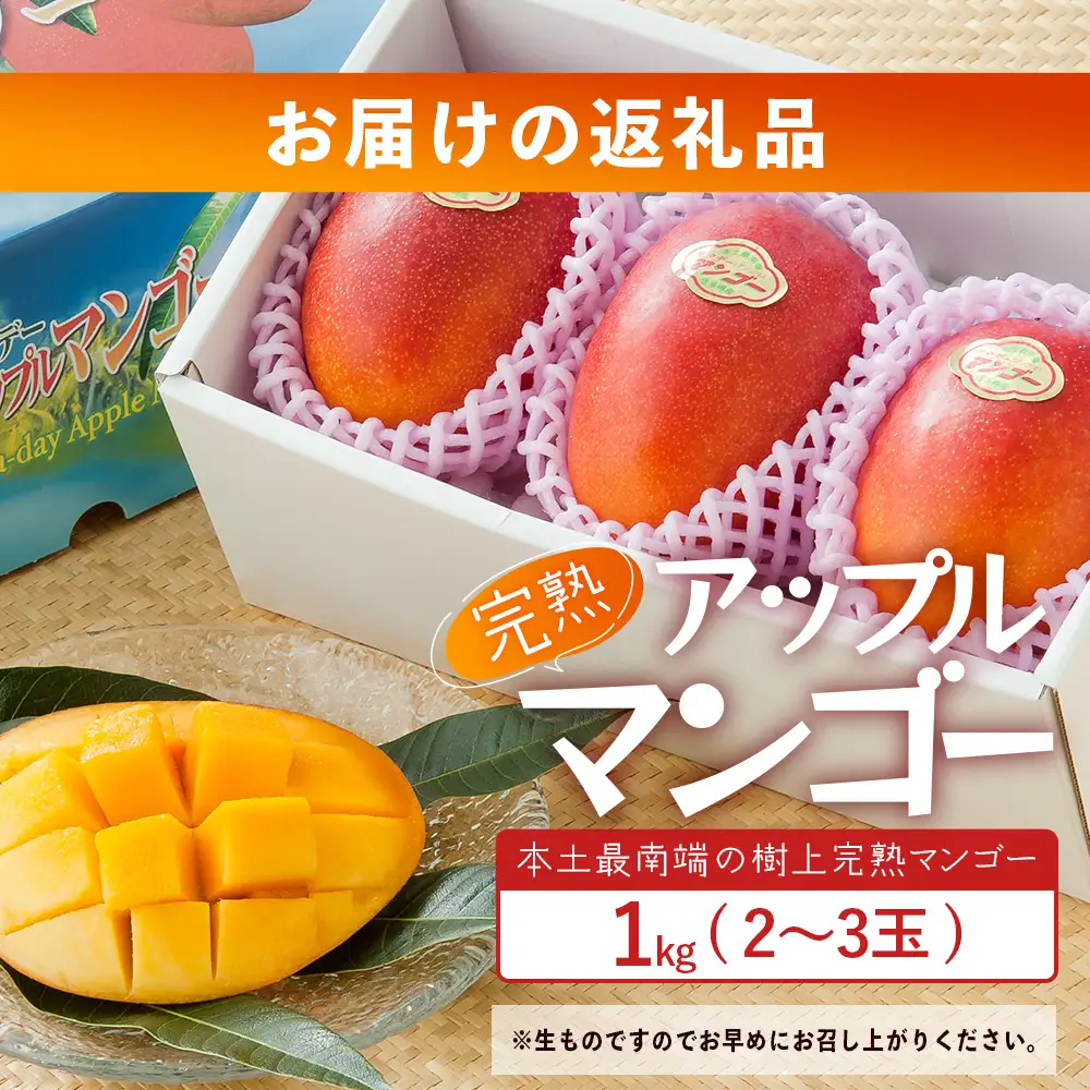 太陽をたっぷり浴び濃厚な甘さ！南国の香りが漂う【本土最南端南大隅町産マンゴー】 【先行予約】☆本土最南端☆佐多の果樹園で育てた 完熟アップルマンゴー 1kg (2～3玉) 【2026年7月上旬以降順次発送】 ST-407 ｜鹿児島県 南大隅町 産地直送 旬 マンゴー フルーツ 果物 くだもの アップル マンゴー 詰め合わせ セット 数量限定 第一佐多果樹園