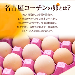 【3ヶ月定期便】名古屋コーチン卵(30個入り)×3回（計90個）　日本三大地鶏　小牧市発祥[006K01-T]コーチン卵 高品質卵 濃厚卵