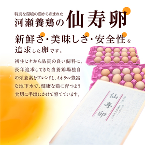 【3ヶ月定期便】名古屋コーチン卵・仙寿卵お試しセット（各10個入り）×3回（計各30個） 日本三大地鶏　小牧市発祥[006K02-T]コーチン卵 仙寿卵 高品質卵 濃厚卵