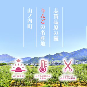 【2026年発送】志賀高原の麓で育った サンふじ （家庭用）約10kg りんご 10kg フルーツ 果物 デザート 長野