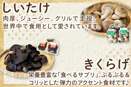 オーガニックきのこバラエティ小セット約800g（5種9パック入）