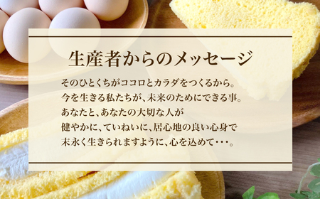 米粉の生クリームサンドシフォンケーキ (110g×8個) ふるさと納税 福知山市 シフォンケーキ グルテンフリー ケーキ スイーツ 米粉 【fc-AA001】【ニコリナ】