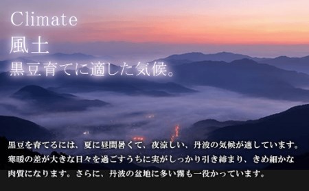 丹波大納言 あずき茶 (10g×15パック×3袋) ふるさと納税 福知山市 あずき茶 小豆 あずき お茶 茶 美肌 むくみ解消 【fc-AI003】【夜久野物産株式会社】