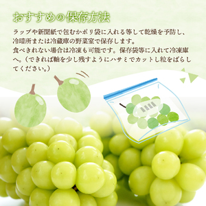 シャインマスカット 2026年発送【フルーツ王国】 山梨県産 シャインマスカット 約2.0kg(3~4房) フルーツ 高級シャインマスカット