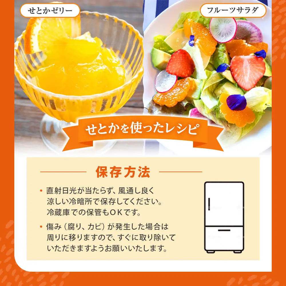 せとか ＜別名-みかんの大トロ＞ 和歌山県有田川町産 オレンジ 訳あり 8kg