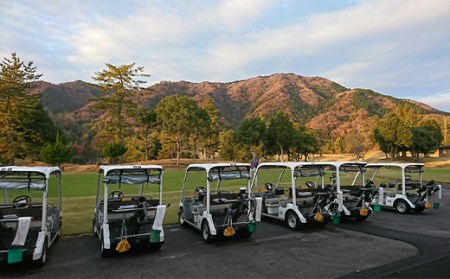 福知山カントリー倶楽部 ゴルフ場利用券3,000円 (1枚) ふるさと納税 福知山市 ゴルフ利用券 ゴルフ場利用券 ゴルフプレー券 ゴルフ 緑 みどり 山 紅葉 自然 鹿 シカ 【fc-BT001】【福知山カントリー倶楽部】