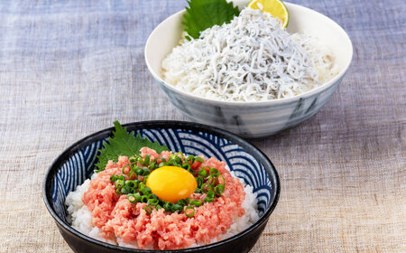 【最速発送】龍馬しらすと鮪たたきの紅白丼 【株式会社 七和】 [ATAX006]　スピード 最短 最速 発送