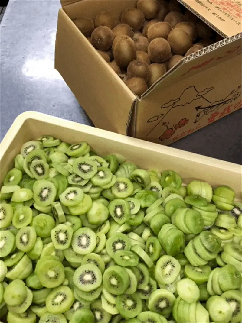 小田原老舗和菓子店の手づくり小田原キウイの生ようかん【和菓子店 手作りようかん 小田原キウイの生ようかん キウイフルーツ 職人の手作り 銘菓　自家製キウイジャム 神奈川県 小田原市  生ようかん 生ようかん 】
