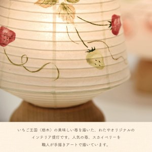 インテリア提灯 スカイ