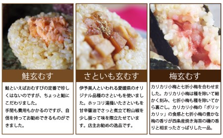 かんこめの玄米おむすび15個×2［合計30個］｜ おにぎり 冷凍 個包装