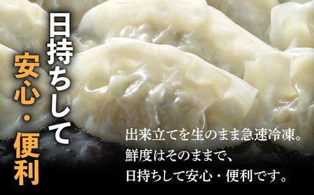【第1回 日本全国！ご当地冷凍食品大賞 2024-2025 優秀賞受賞！】鹿児島黒豚100%餃子 32個入り K027-007 肉 豚肉 惣菜 総菜 冷凍