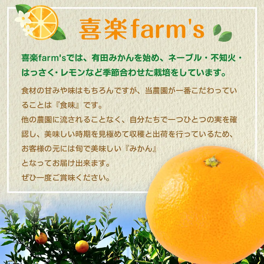 産地直送 贈答用 有田みかん Mサイズ 約10kg 喜楽farms 【2026年11月以降順次発送】