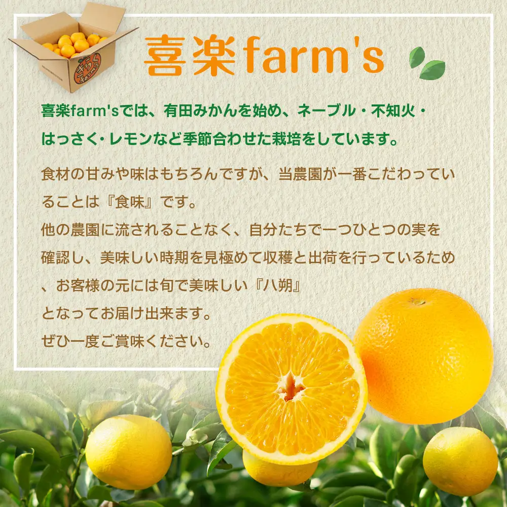 【産地直送】☆八朔☆サイズ混載（M～2L）☆9kg