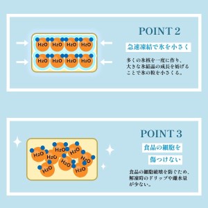 中華職人こだわりの 大粒 海老シューマイ(約50g×6個×4パック・計1.2kg) ふるさと納税 福知山市 シューマイ 海老 中華 【fc-AW010】【株式会社凡愚】