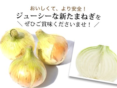 【大玉５㎏】兵庫県認証★特別栽培★淡路島新たまねぎ