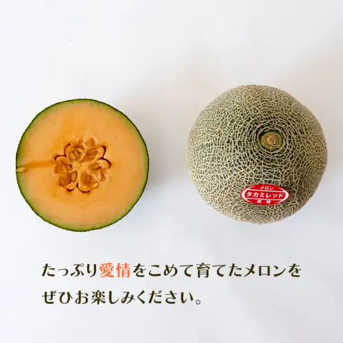 【先行受付】メロン タカミレッドメロン 1箱 2玉  2026年発送