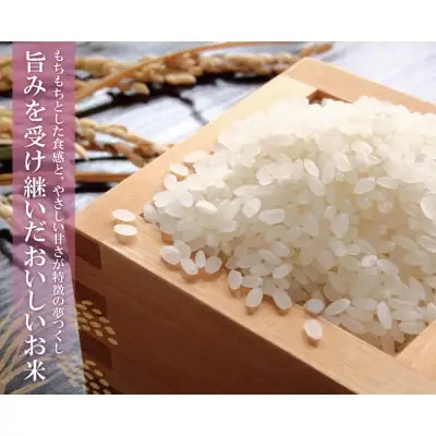 Y17-17 令和7年産 研ぐお米 夢つくし5kg