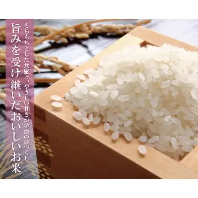 Y17-20 令和7年産 研ぐお米 夢つくし25kg