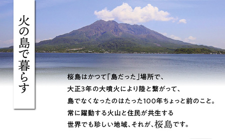 桜島つばきネイルオイル 3本セット K062-018