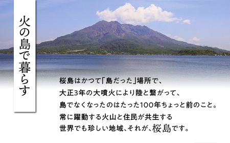 桜島つばきリップクリーム 3本セット K062-020