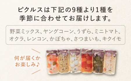  おばあちゃんのふるさと小包 NCK001 味噌 ピクルス 米