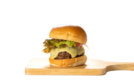 ハンバーグ [150g×10個]  和牛ハンバーグ BM