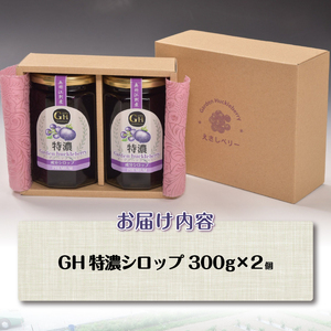 GH(ガーデンハックルベリー) 特濃シロップ300g×2個 岩手県奥州市江刺産 [BB005]