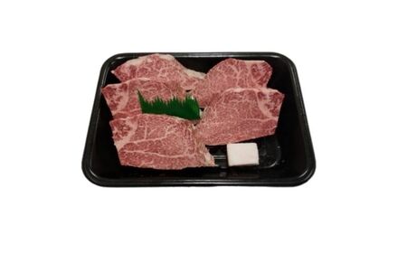 （冷凍）伊賀肉 森辻の【定期便】伊賀牛A5各種 5回お届け【mrtj-tkb0002】