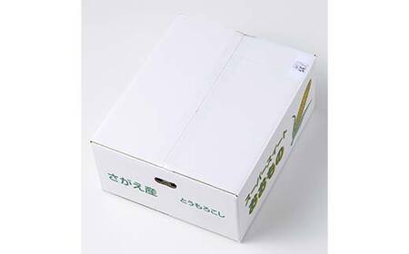 ≪2026年先行予約≫【長岡ファーム】 農家直送 山形県産 朝採れ とうもろこし 3kg（6～9 本） 2026年8月上旬から順次発送 F2Y-5459