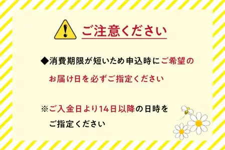 国産非加熱はちみつ使用 はちみつマドレーヌ15個セット  J01026