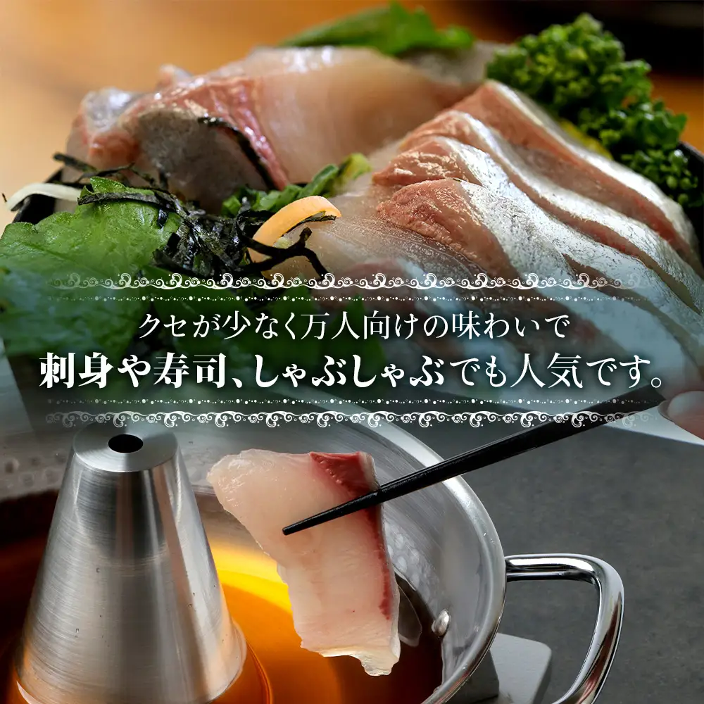 【着日指定可】2026年7月～9月配送不可 鹿児島県 ねじめ黄金カンパチ 1尾 約3.0kg台 (3.0～3.9kg) JF-501 | 魚 直送 養殖 根占 さかな かんぱち 漁師 刺身 寿司 鹿児島県 南大隅町 漁業協同組合ねじめ支所