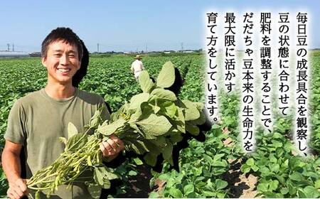 ≪2026年先行予約≫【與惣兵衛】山形県産 神の枝豆 だだちゃ豆 約2kg 2026年8月上旬から順次発送 F2Y-5462