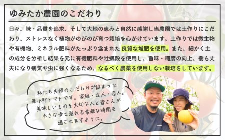 【先行予約】 有機減農薬 フルーツトマト 2kg 薄皮完熟 【2026年10月上旬以降順次発送予定】 【とまと ミディトマト 中玉トマト 野菜 やさい 新鮮 生食 アレンジ ジャム トマトソース サラダ 産地直送 国産】 [A-16207]
