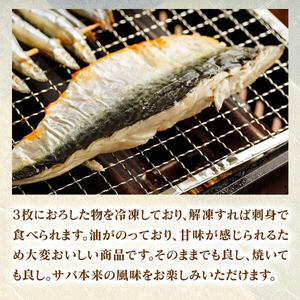 ひむか本サバの一夜干し(2枚)とフィレのセット N025-YB245