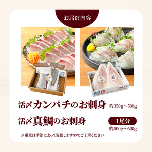 延岡産活〆カンパチと真鯛の新鮮お刺身セット N019-YB435