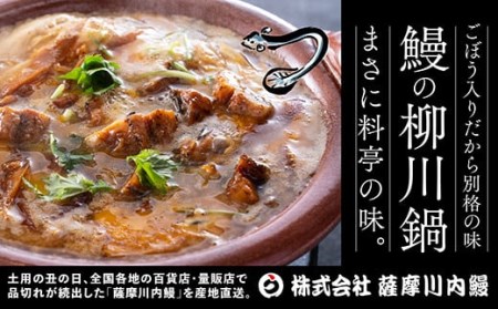 ZS-640 国産きざみうなぎ ごぼう入り（タレ付き） 合計170g(85g×2袋) 