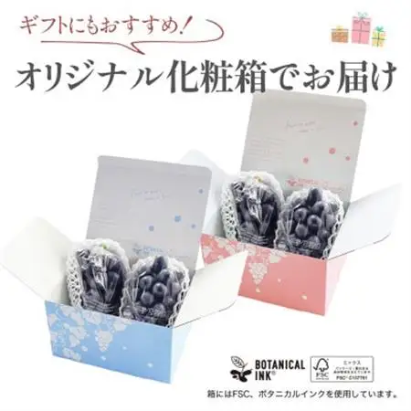 【2026年発送】山梨産 ピオーネ(種なし) 2房 約1kg 化粧箱入り 産地直送でお届け【配送不可地域：離島・沖縄県】【1021829】