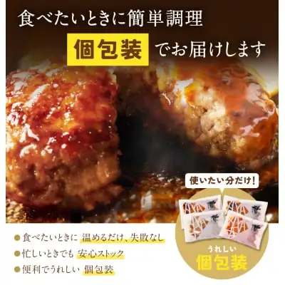 Y61-32 Best4バーグ 20個セット ハンバーグ
