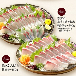 【お楽しみ定期便】延岡産活〆鮮魚の豪華 お刺身 6ヶ月定期便 鮮魚 延岡産 刺身 ヒラメ 真鯛 カンパチ 季節 魚 ブリ ハマチ 国産 昆布〆 おつまみ カルパッチョ 鮮魚 魚介類 食品 冷蔵 請関水産 グルメ お取り寄せ 宮崎県 延岡市 送料無料 N019-YF073
