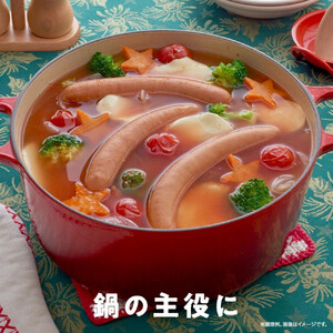 【ふるさと納税】定期便【6ケ月連続お届け】シャウエッセン　スペシャルロングセット| ウインナー 北海道　ウインナー _00607