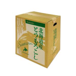 【先行予約】旭川近郊産 白と黄色のとうもろこしセット　各5本（計3.5kg）2026年8月上旬から発送開始 | とうもろこし コーン スイートコーン 北海道 限定_00094