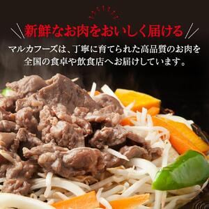 あの味が復活！家族で大満足！復刻版限定“ホルジン”（500g×6パック）_00220