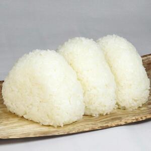 令和7年産　特別栽培米ゆめぴりか　白米5kg ｜ ゆめぴりか_00148